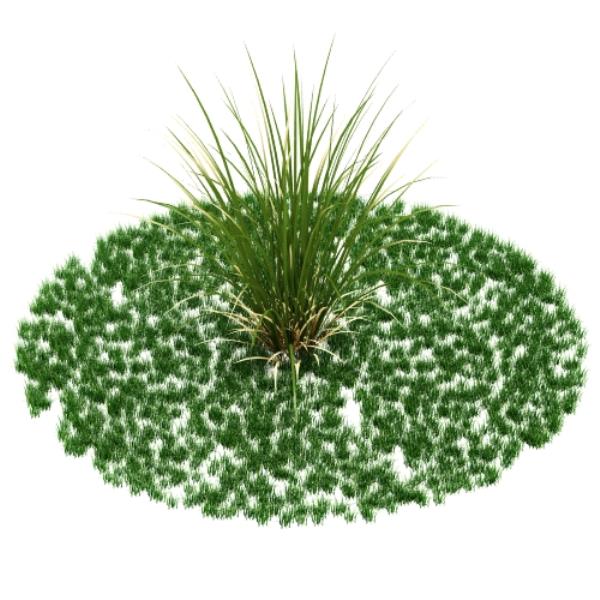 مدل سه بعدی گیاه - دانلود مدل سه بعدی گیاه - آبجکت سه بعدی گیاه - دانلود آبجکت سه بعدی گیاه - دانلود مدل سه بعدی fbx - دانلود مدل سه بعدی obj -Plant 3d model free download  - Plant 3d Object - Plant OBJ 3d models - Plant FBX 3d Models - بوته - bush 